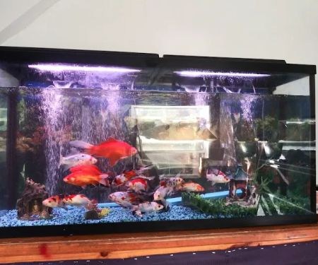 Fish Warehouse