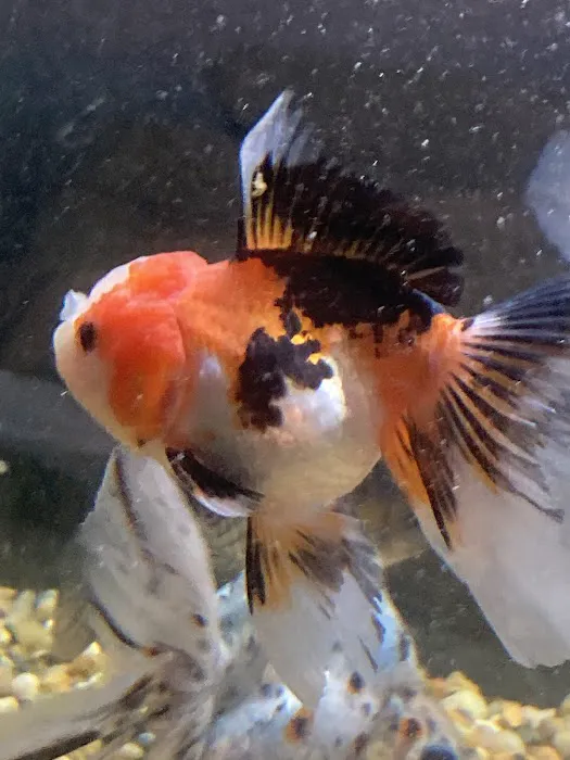 Fish Warehouse Picture 3