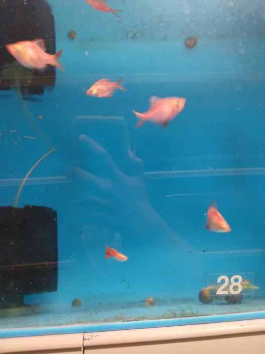 Fish Warehouse Picture 5