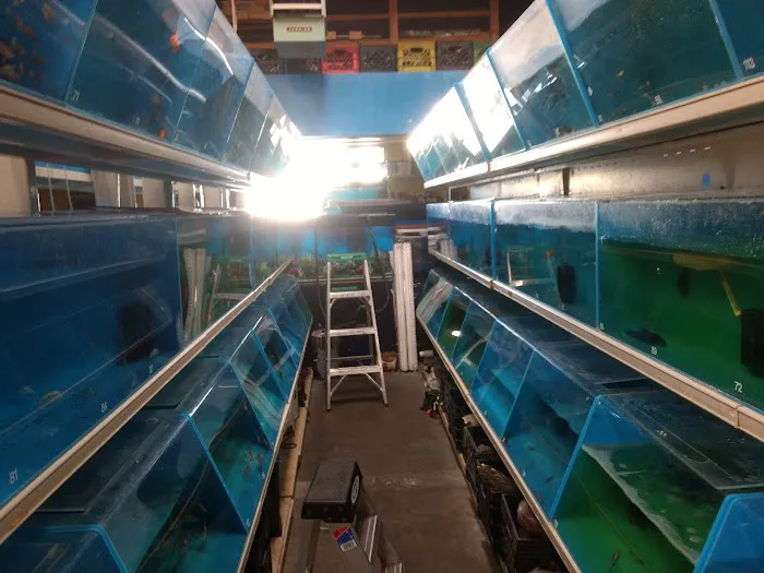 Fish Warehouse Picture 2
