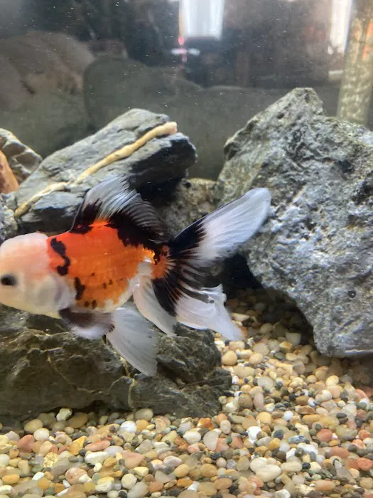 Fish Warehouse Picture 8