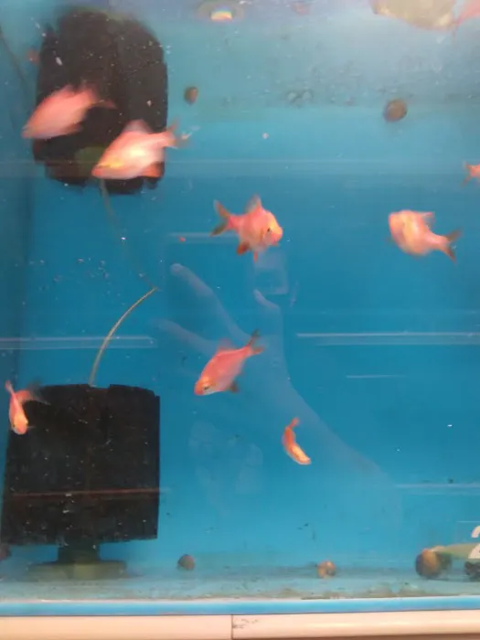 Fish Warehouse Picture 9