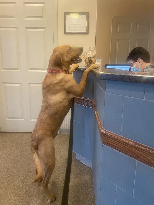 University Animal Hospital Picture 7