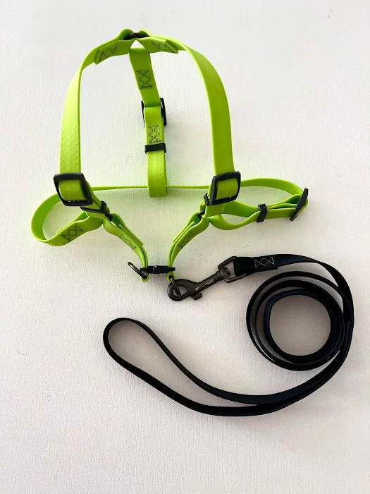CALIDOG online-shop Picture 10