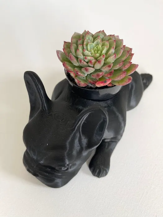 CALIDOG online-shop Picture 1