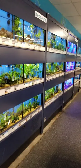 Petco Picture 1