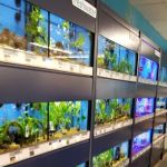Petco