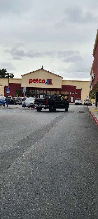 Petco Picture 10