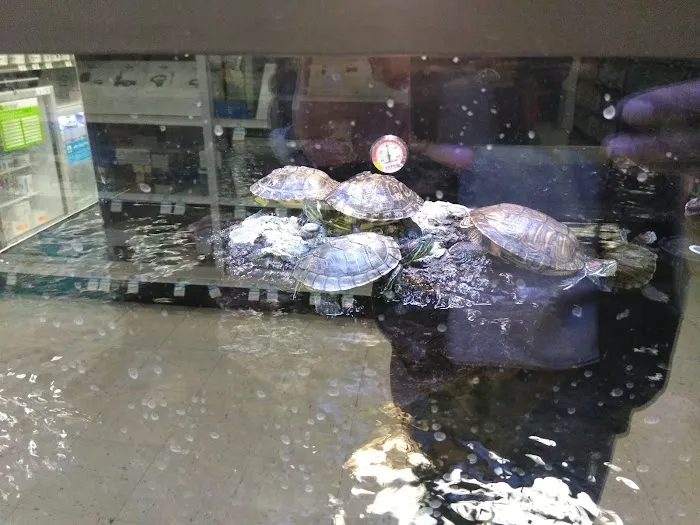 Petco Picture 2