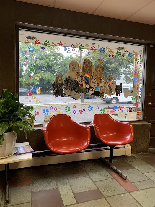 Port Washington Animal Hospital Picture 3