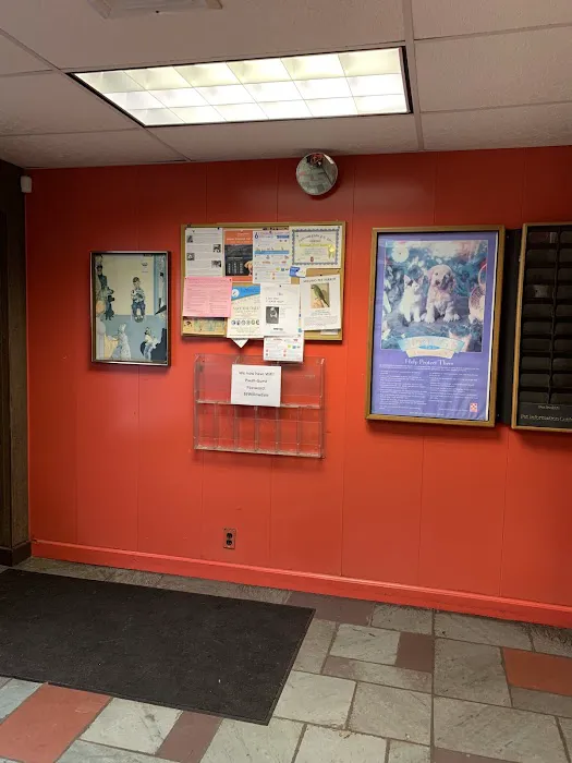 Port Washington Animal Hospital Picture 4