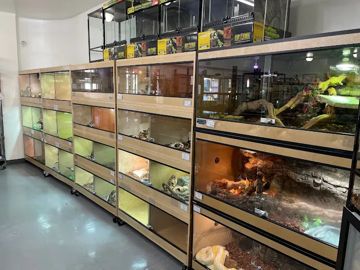REPTILE FACTORY Picture 1
