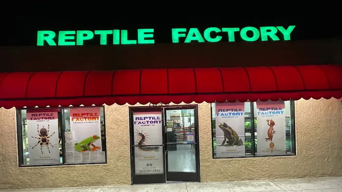 REPTILE FACTORY Picture 3