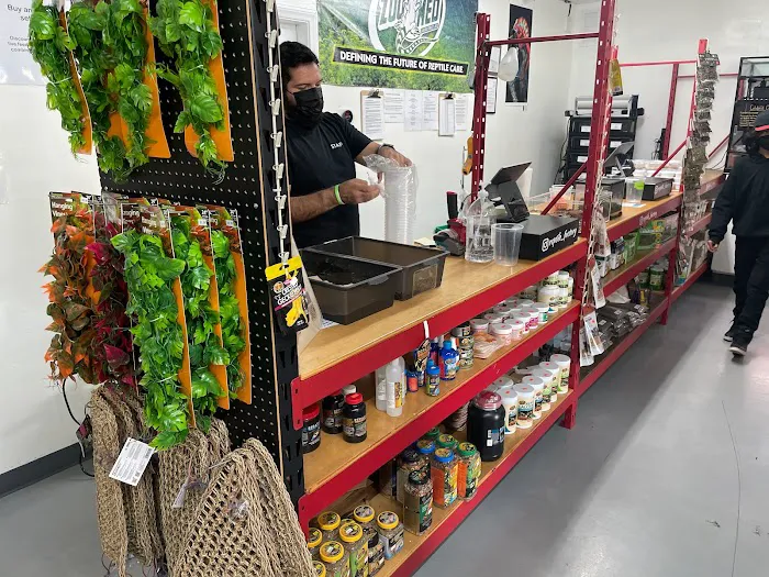 REPTILE FACTORY Picture 5