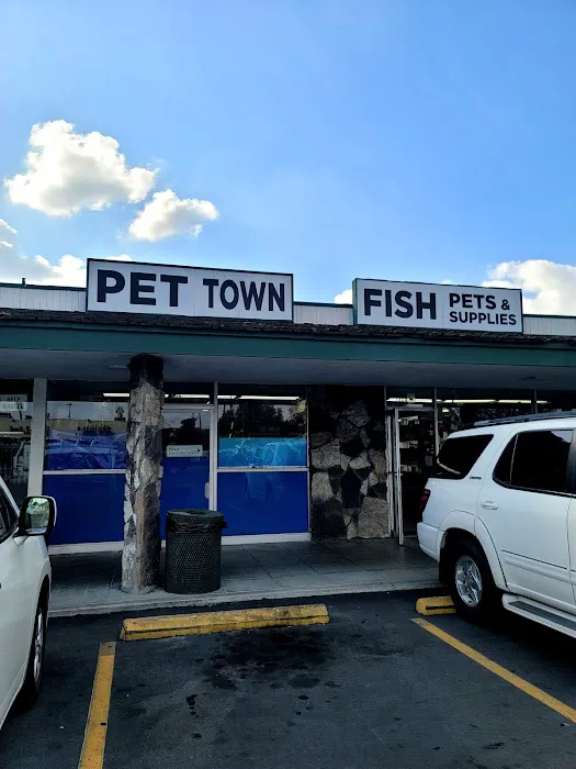 Pet Town Picture 10