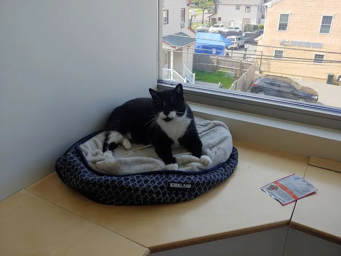 Pet Health Centers at North Shore Animal League America Picture 5