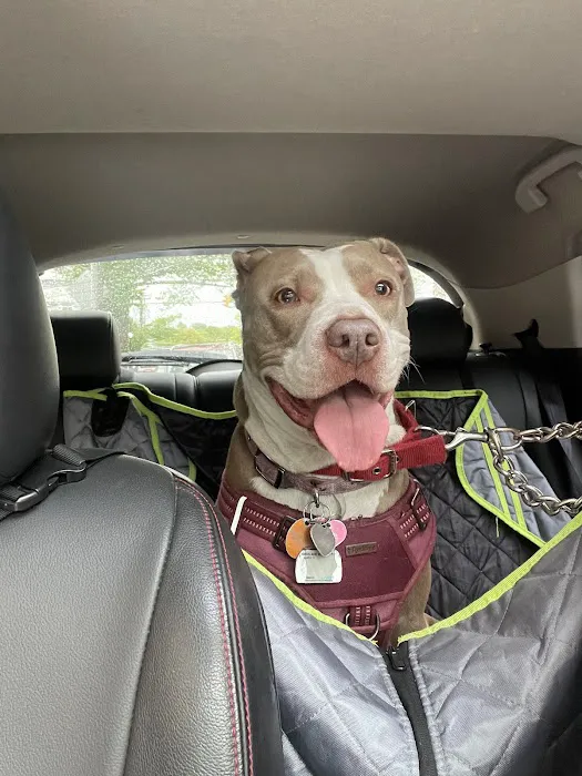 Pet Health Centers at North Shore Animal League America Picture 7