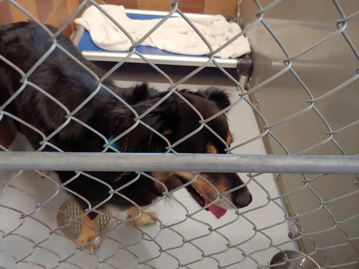 Pet Health Centers at North Shore Animal League America Picture 3