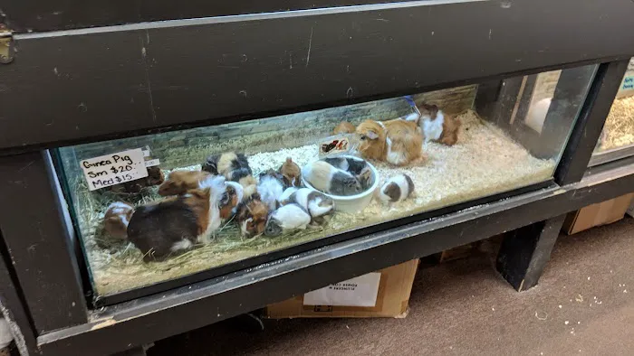 La Selva Pet Shop Picture 5