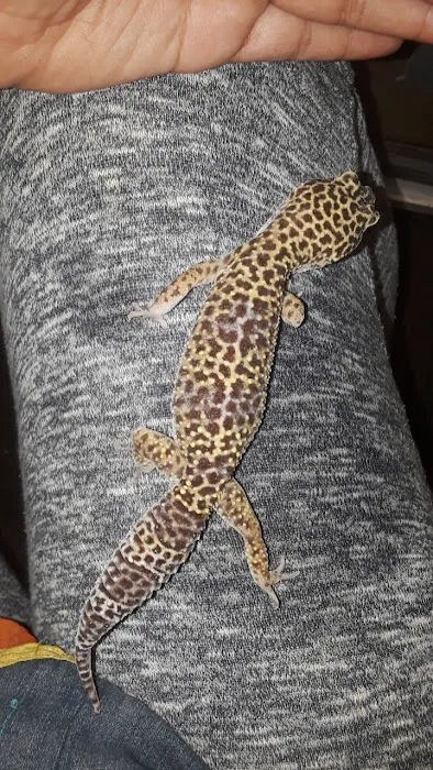 La Selva Pet Shop Picture 8