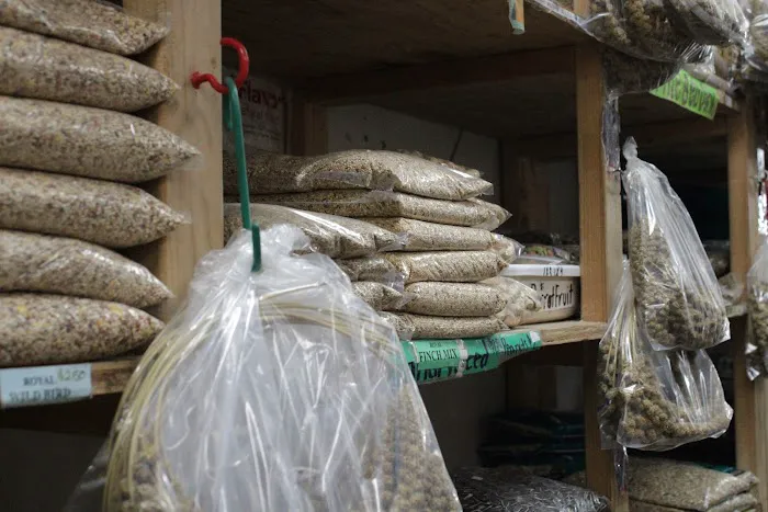 La Selva Pet Shop Picture 2