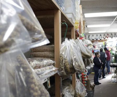 La Selva Pet Shop
