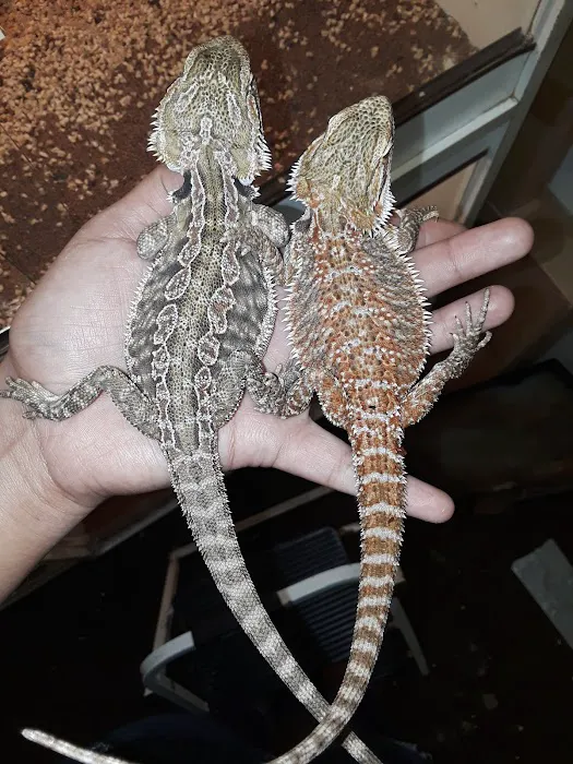 La Selva Pet Shop Picture 7