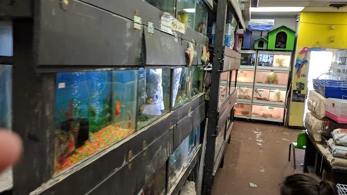 La Selva Pet Shop Picture 10