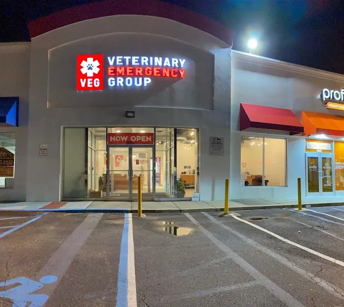 Veterinary Emergency Group Picture 8