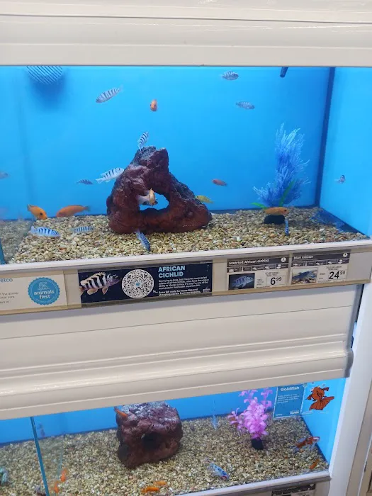 Petco Picture 9