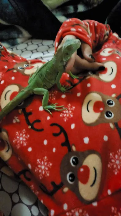Petco Picture 2