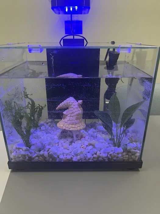 Petco Picture 5
