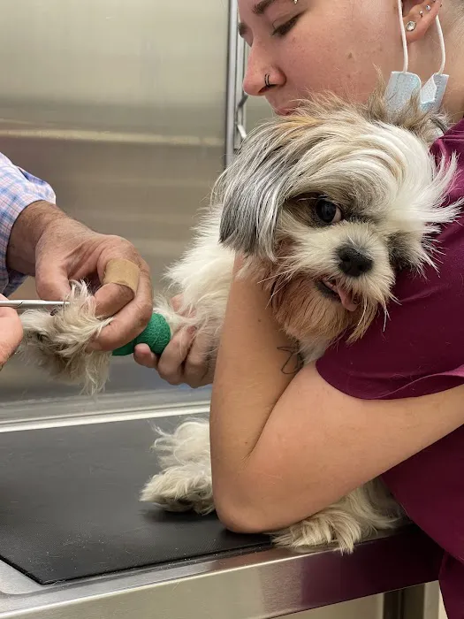 Animal Hospital of Roslyn Picture 7