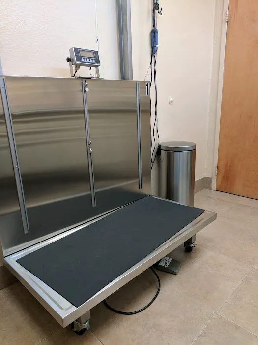 Animal Hospital of Roslyn Picture 1