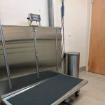 Animal Hospital of Roslyn