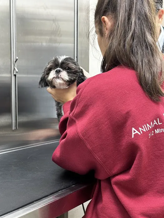 Animal Hospital of Roslyn Picture 10