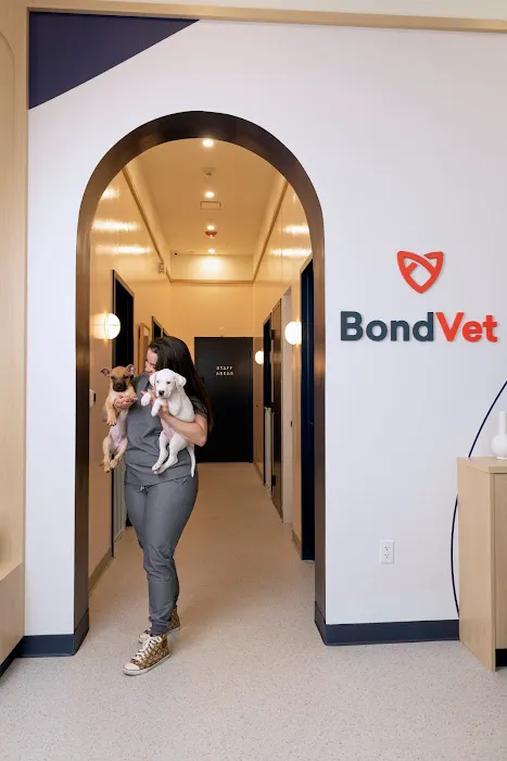 Bond Vet - Garden City Picture 7