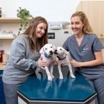 Bond Vet - Garden City