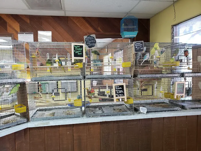 Magnolia Bird Farm Picture 4