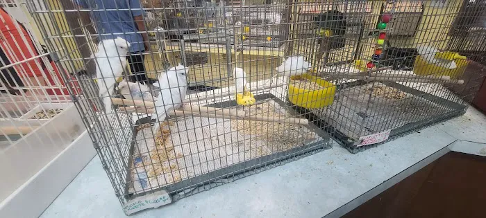 Magnolia Bird Farm Picture 9