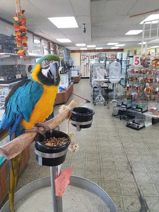 Magnolia Bird Farm Picture 7