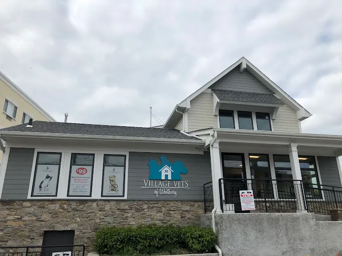 Veterinary Care Group - Westbury Picture 1