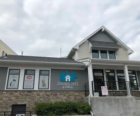 Veterinary Care Group - Westbury
