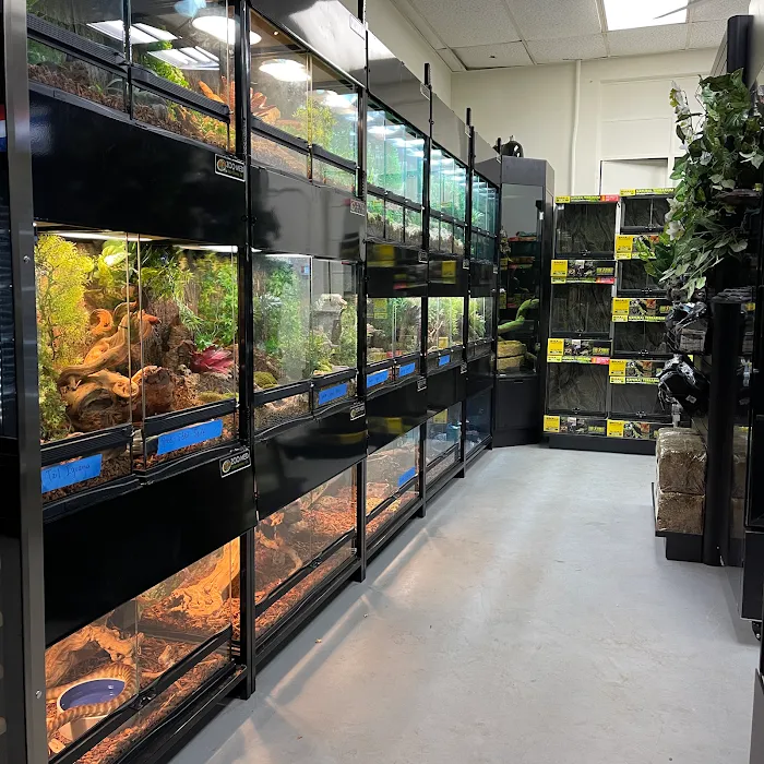 Allan's Pet Center - East LA Picture 5