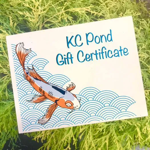 Kansas City Pond & Water Gardening Picture 3