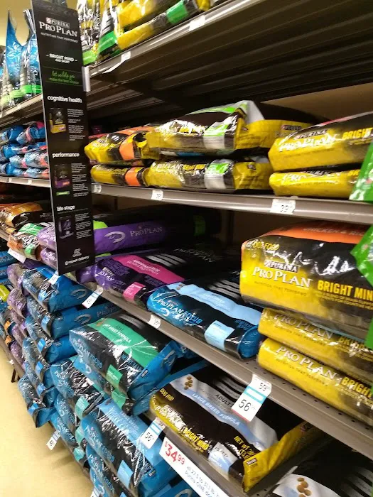 Petco Picture 8