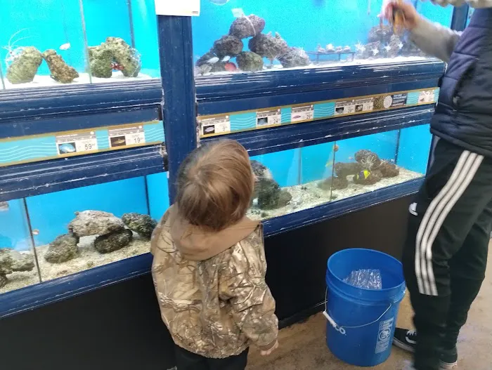 Petco Picture 4