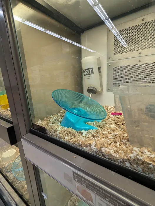 Petco Picture 7