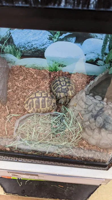 Petco Picture 10