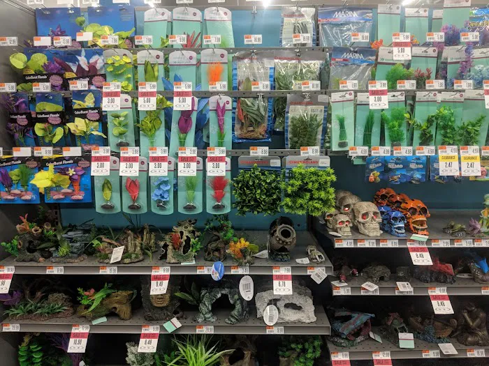 Pet Supplies Plus Gladstone Picture 1